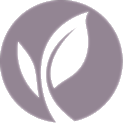 Schoemann Plastic Surgery Icon