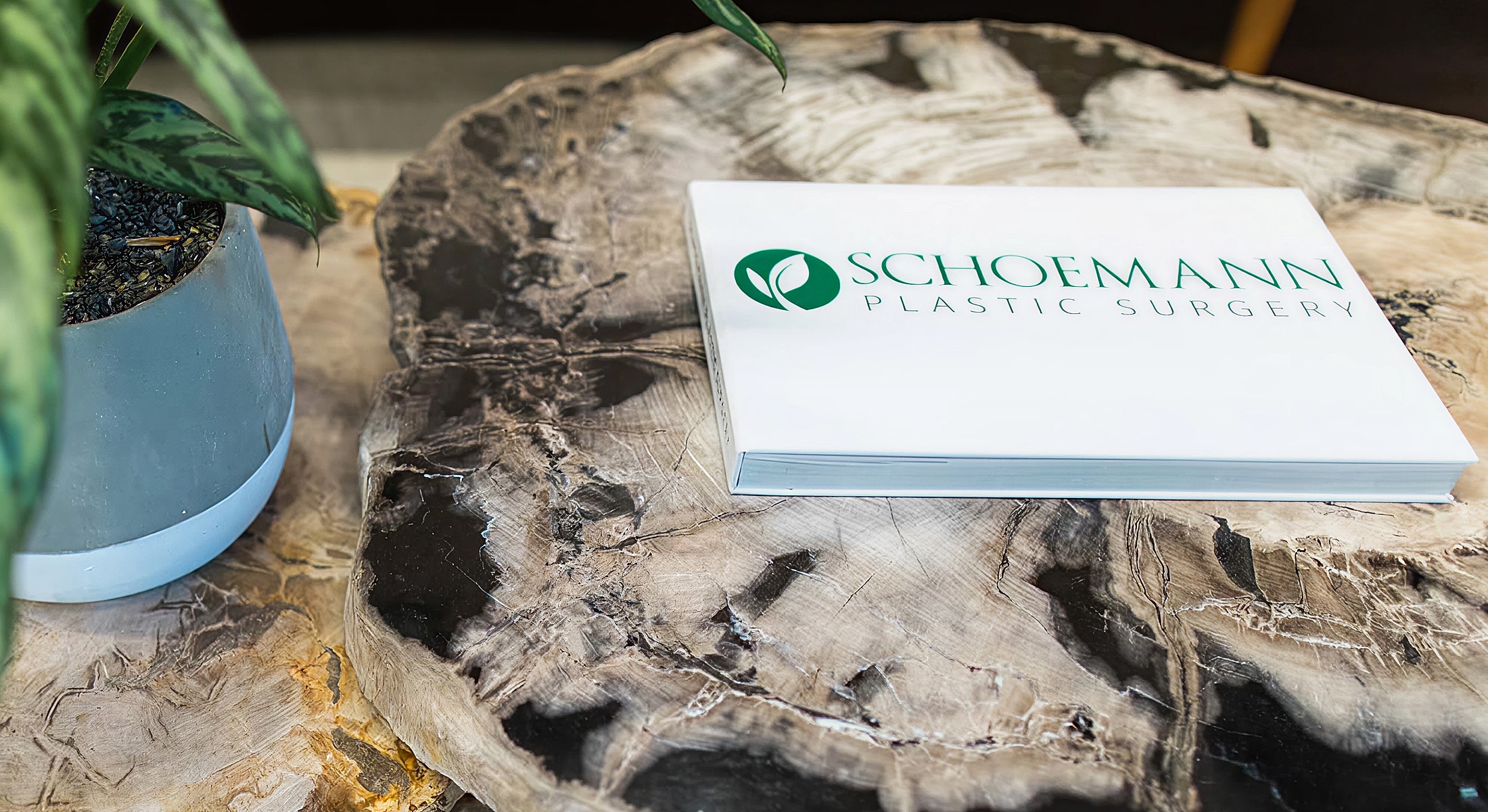 Schoemann Plastic Surgery brochure on wooden table.